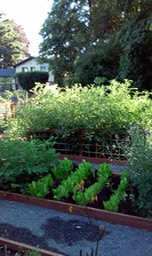20140706_073932#1