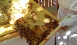 20140901_143358