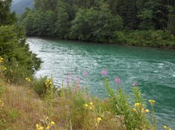 Skagit River