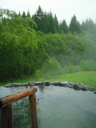Meadow Pool 2