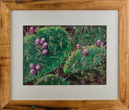 Prickly Pear 4