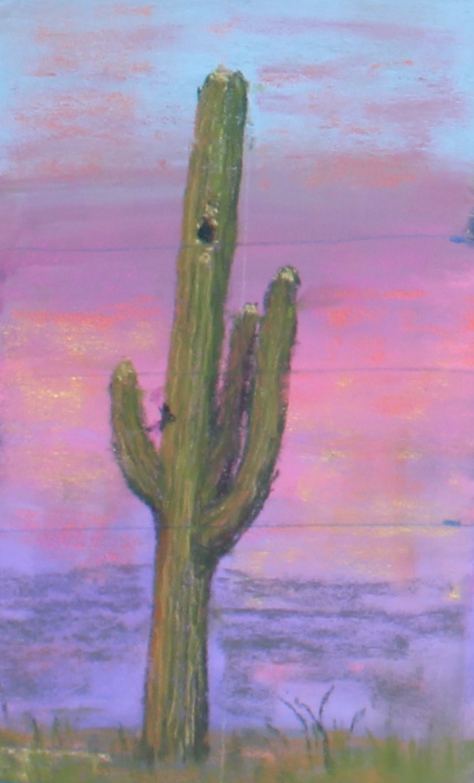 Saguaro SM1