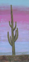 Saguaro